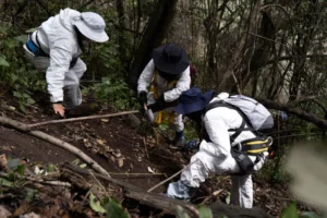 1034025_Segundo-Dia-Busqueda-Mirador-Topilejo_web