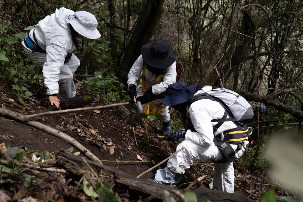 1034025_Segundo-Dia-Busqueda-Mirador-Topilejo_web