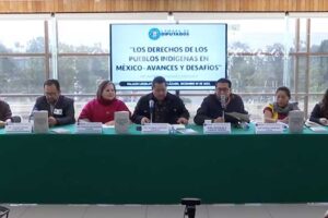 2025_12_12__03_01_32pm