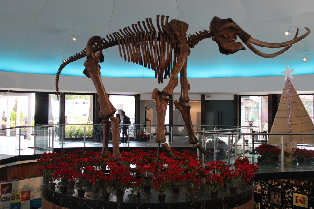 692da637e9df6619762918