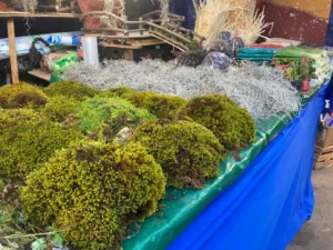 9da9cd3ac2e407eb79726845488215a8