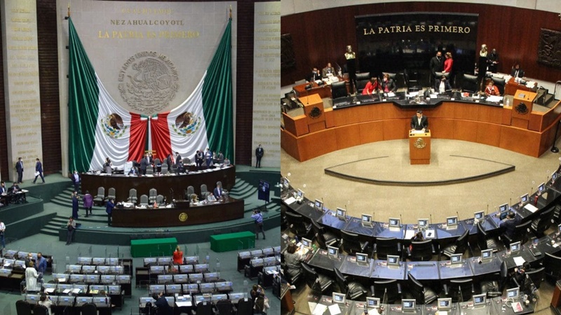 Diputados-y-Senadores-Cual-es-la-diferencia