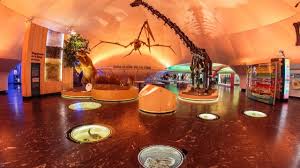 images - 2025-12-09T074259.100