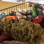 Navidad deja factura ambiental: basura y desperdicio presionan a ciudades mexicanas