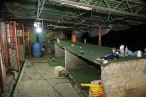 69656dc74735c774476325