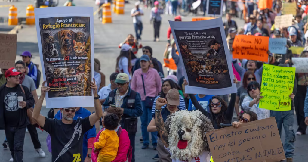 LSZAUJNOOBE77GWZVDWIUBB4EE