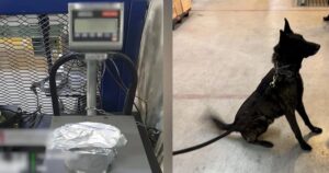 f960x540-136678_210753_5050