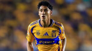 nota_17602032132210_316