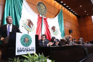 2026_02_13__12_52_01pm