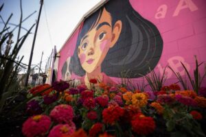 69a1252a74719636060367