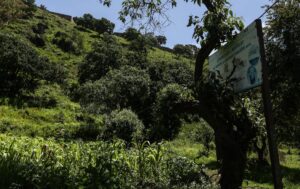 zona-dinamos-alberga-rio-magdalena_0_42_1200_757