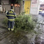 69a9b493165ba326753154