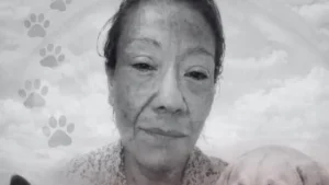 de93ef34-1fb3-47b2-a3b3-d60e3eb96f45