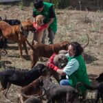 gobierno-cdmx-aclara-dudas-sobre-refugio-franciscano-desalojado