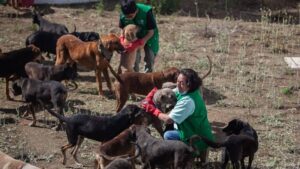 gobierno-cdmx-aclara-dudas-sobre-refugio-franciscano-desalojado