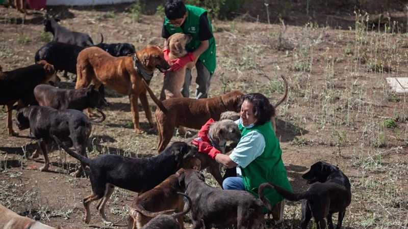 gobierno-cdmx-aclara-dudas-sobre-refugio-franciscano-desalojado