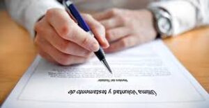 images - 2026-03-13T104409.561